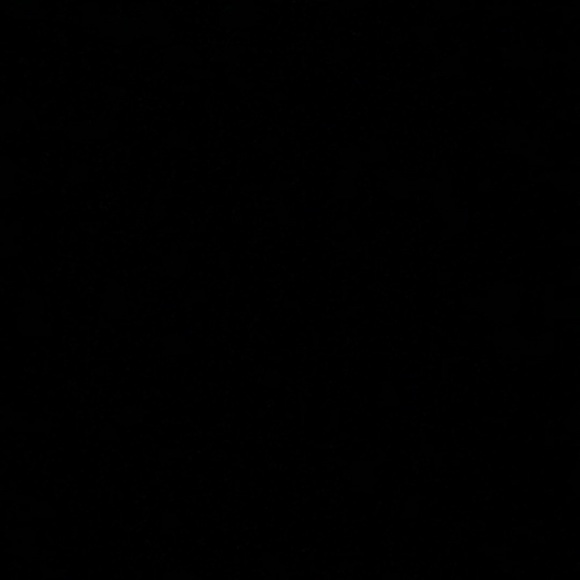 Meet your Posher, Lily - Picture 1 of 1